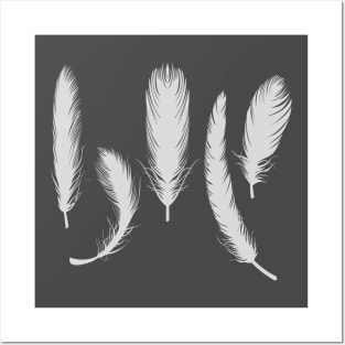 Cute bird feathers Posters and Art